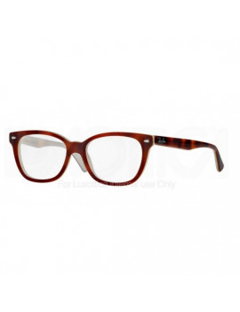 RAY BAN 5310 5237 51/17